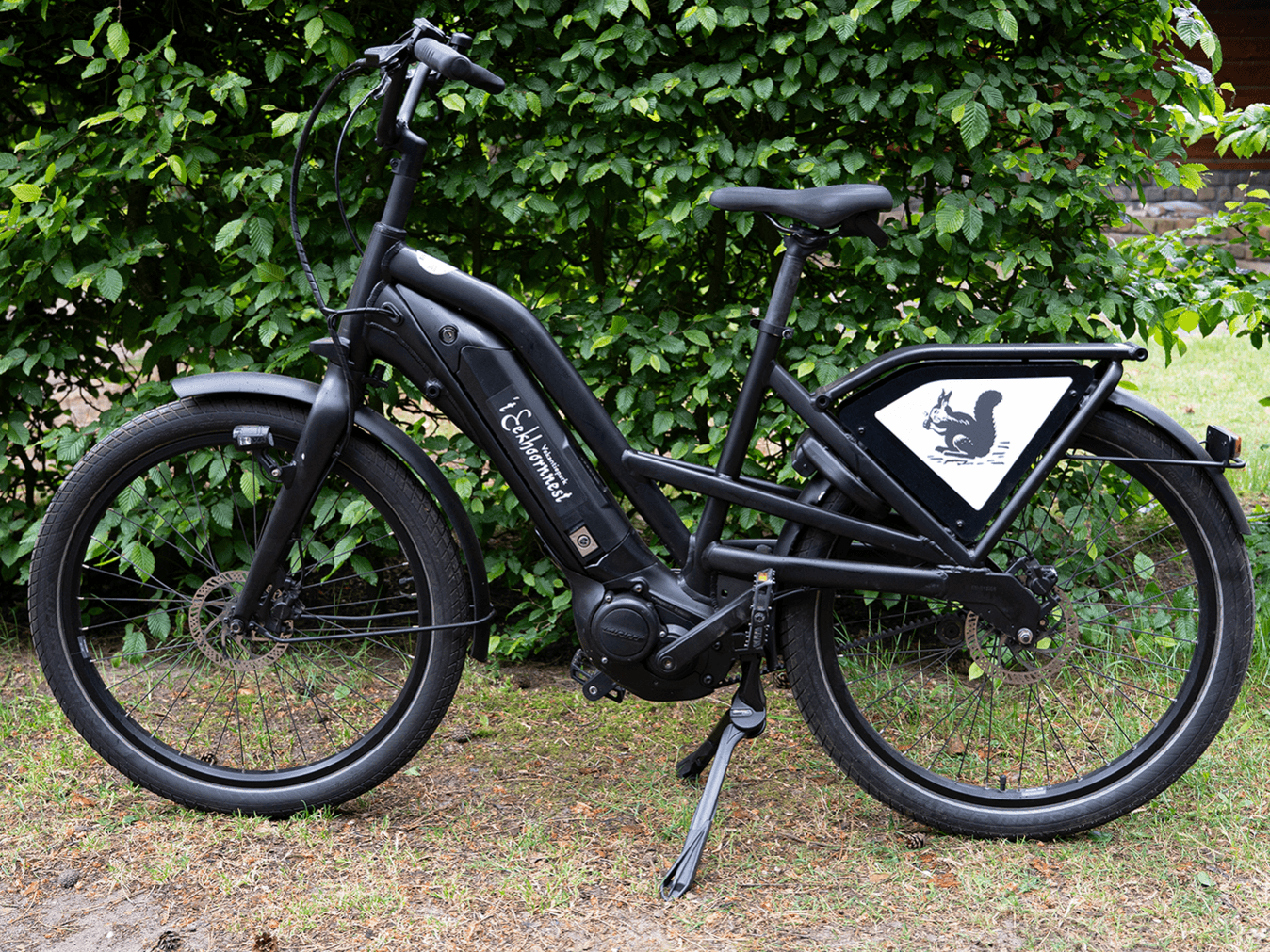 Elektrische fietsen