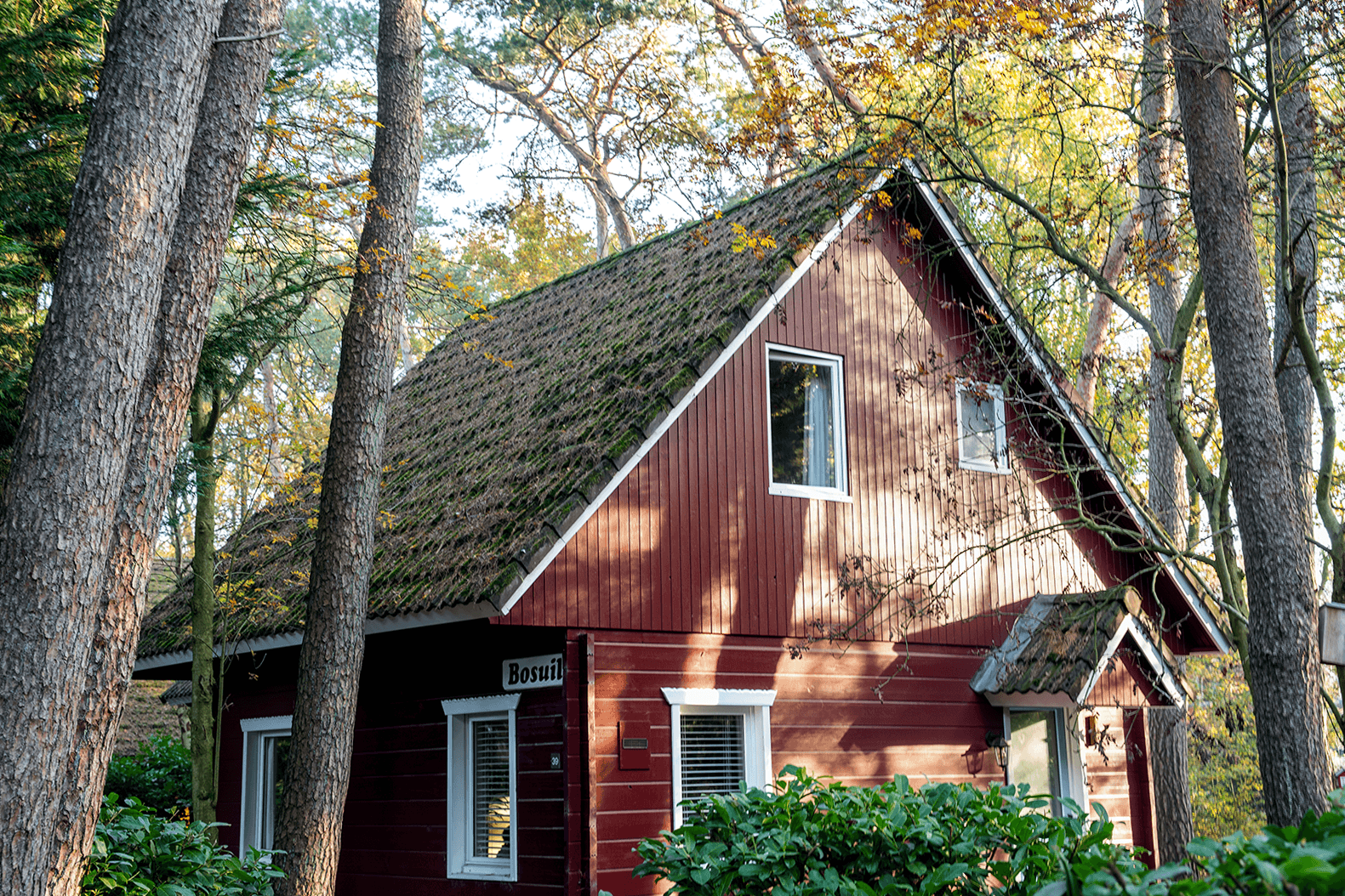 Authentic Swedish Lodge