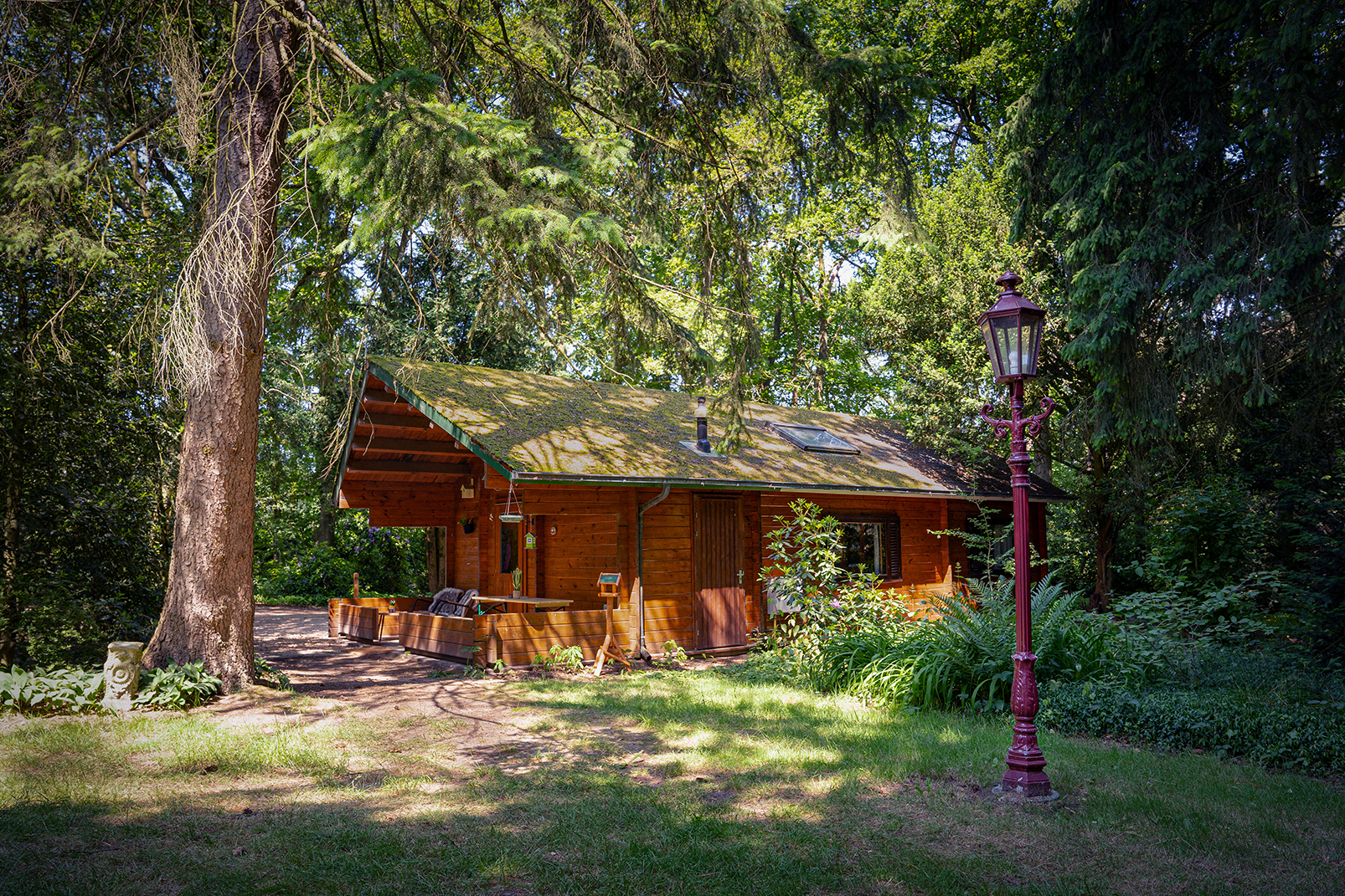 Idyllic Nature Cottage on the Dune Edge, dog-friendly