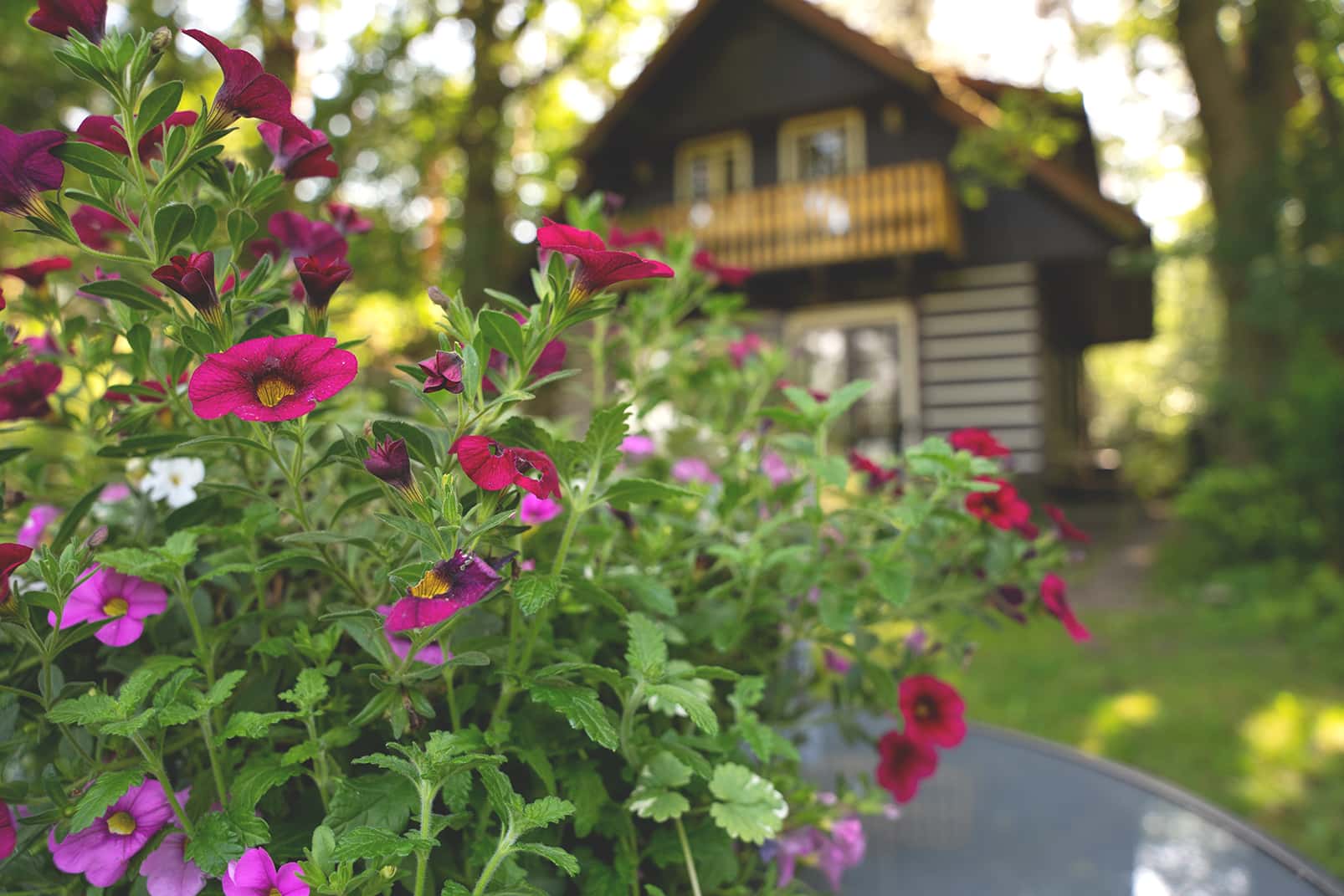 Romantic Canadian Loghome with Meadow Views
