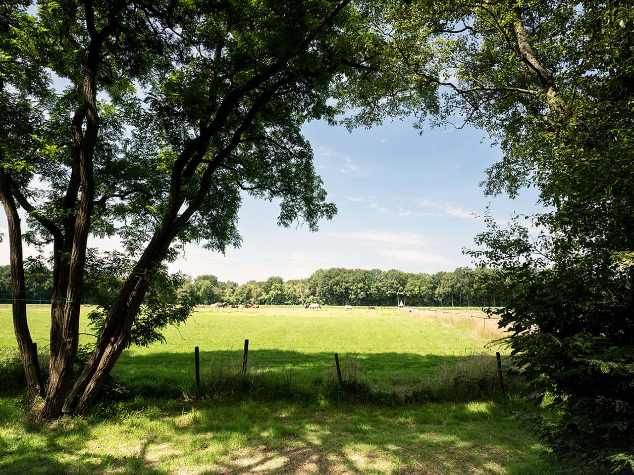 Ground-level holiday cottage overlooking the meadow