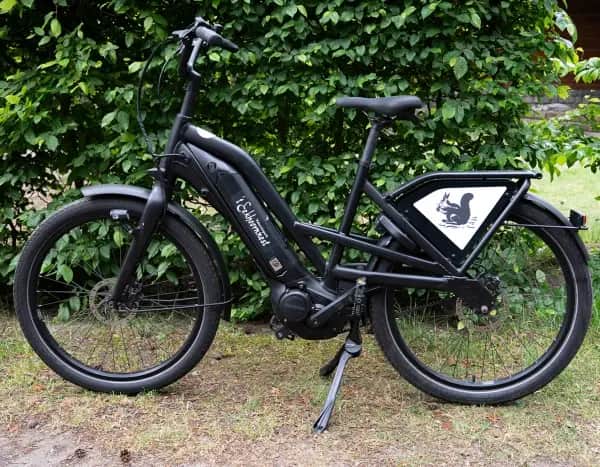 Bike rental