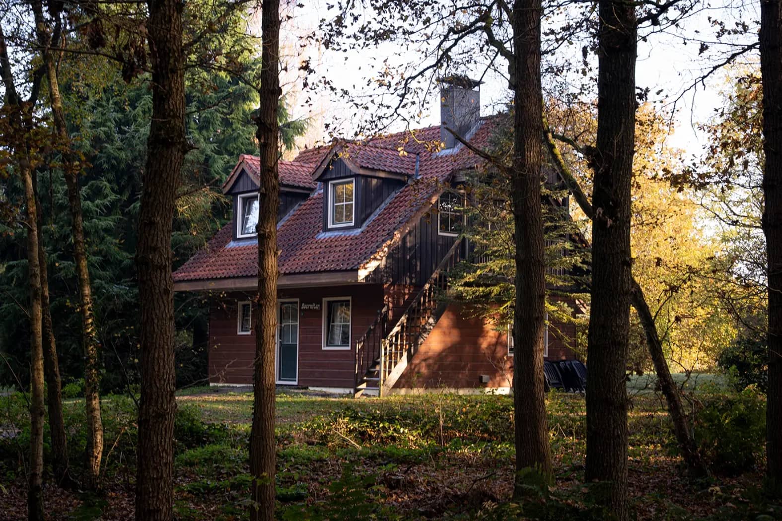 A glimpse of the park