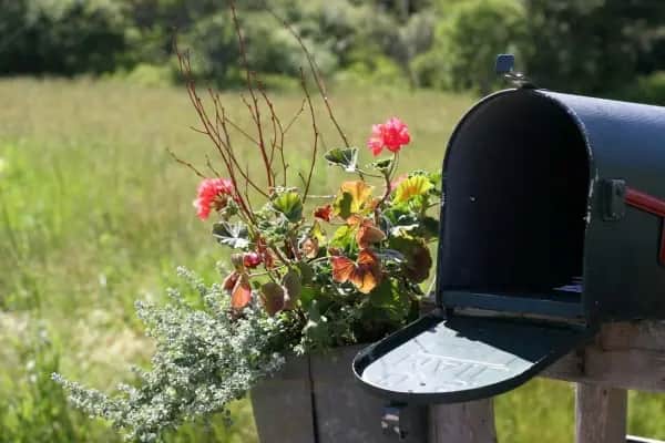 My inbox