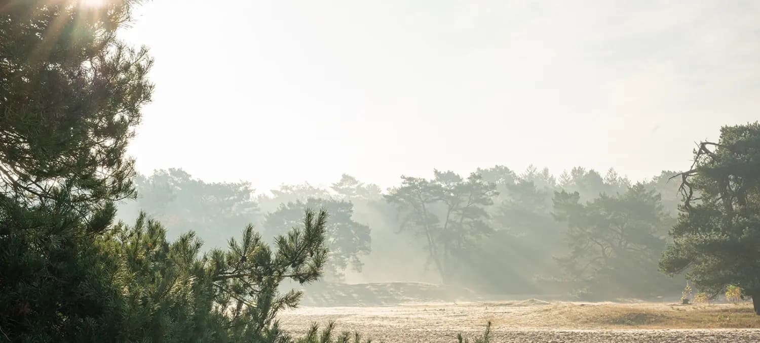 Header afbeelding